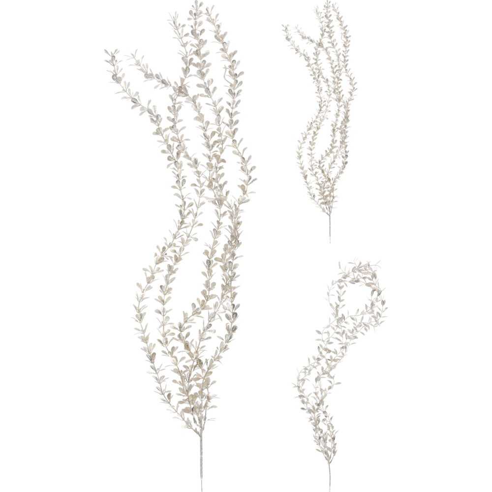Delicate, slender stems with small, light-colored leaves arranged in a flowing pattern.