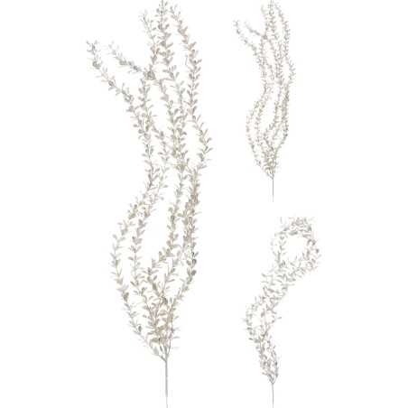 Delicate, slender stems with small, light-colored leaves arranged in a flowing pattern.