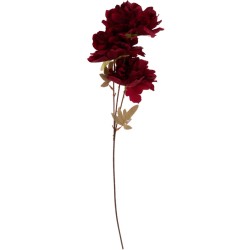 Diep rode bloemen op een slanke steel, omringd door lichte groene bladeren. Elegant en eenvoudig.