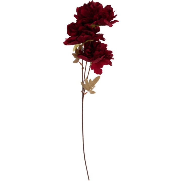 Diep rode bloemen op een slanke steel, omringd door lichte groene bladeren. Elegant en eenvoudig.