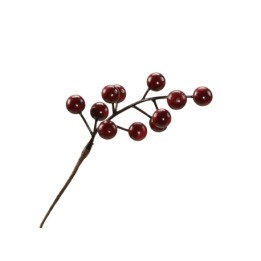 A slender brown stem adorned with clusters of shiny red berries.