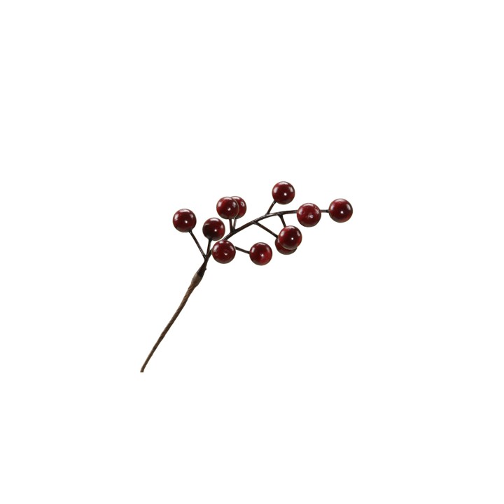 A slender brown stem adorned with clusters of shiny red berries.