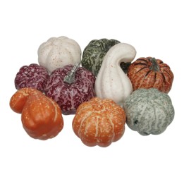 A collection of colorful decorative pumpkins in various shapes and sizes.