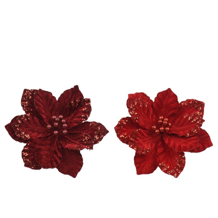 Two vibrant red flowers with textured petals and sparkling accents.