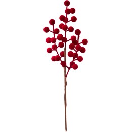 Tak met helderrode, bolvormige bessen op een bruine tak. Decoratief en speels.