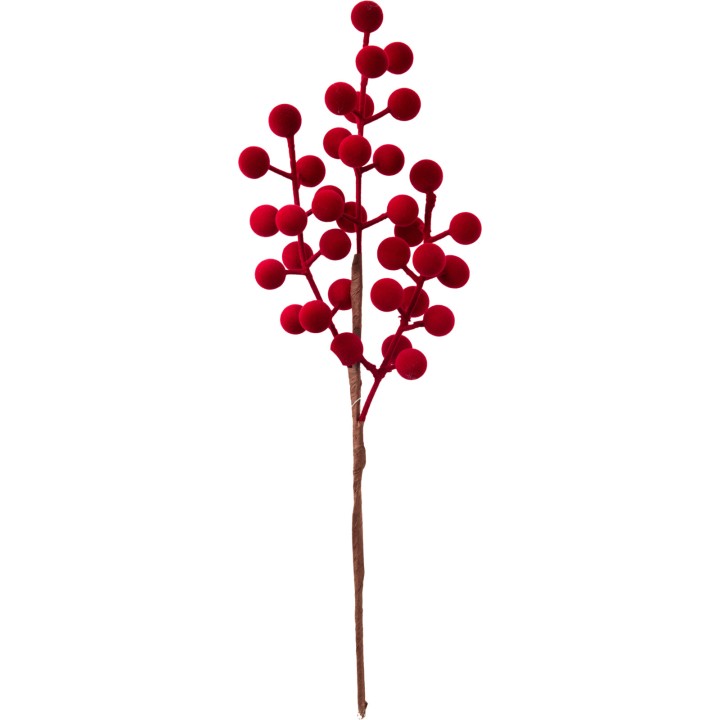 Tak met helderrode, bolvormige bessen op een bruine tak. Decoratief en speels.