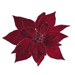 A vibrant red poinsettia flower with textured petals arranged in a star shape.