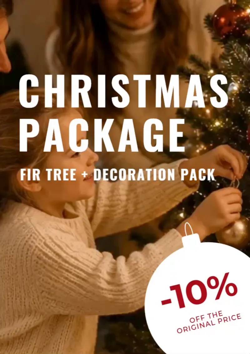 Christmas package: fir tree + decoration pack, 10% off the original price