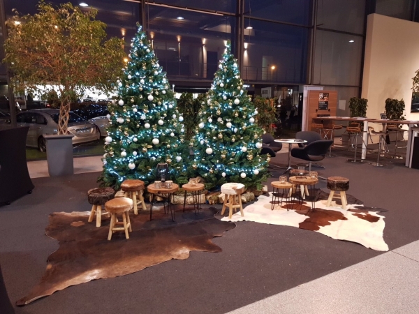 Twee versierde kerstbomen