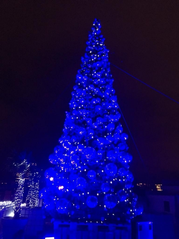 Blauw verlichte kerstboom