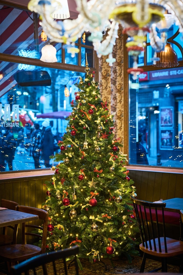 Kerstboom versierd met lichtjes