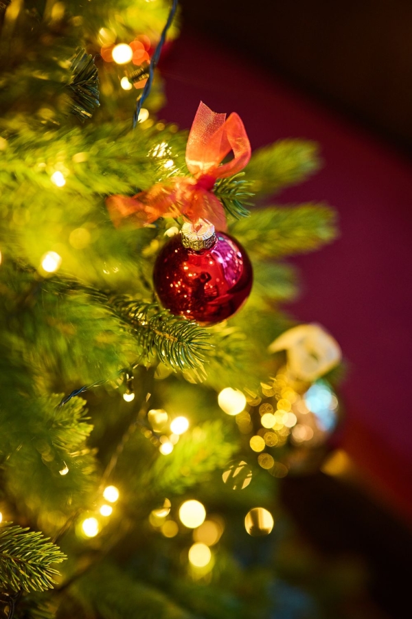 Kerstboom versierd met rode ornamenten