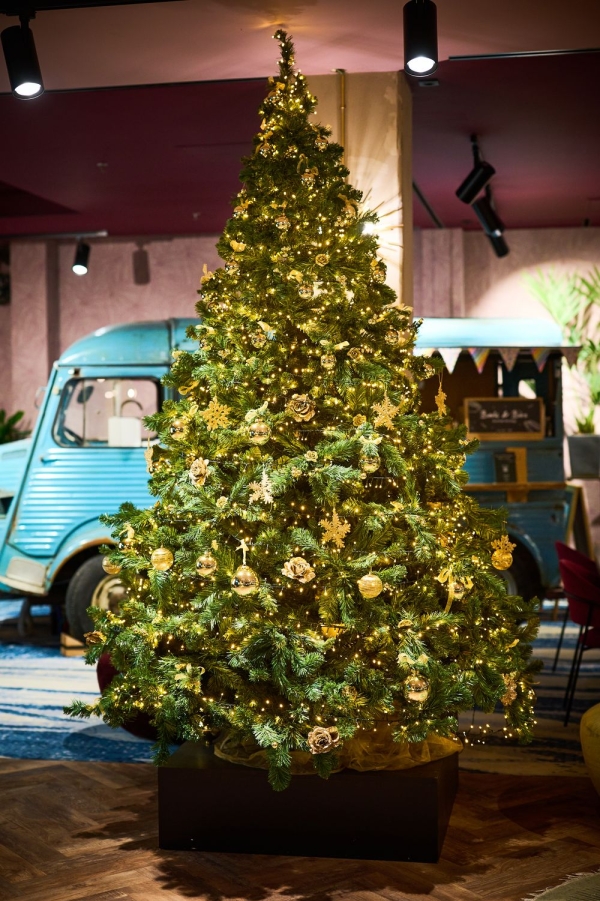 Kerstboom versierd met gouden lichten