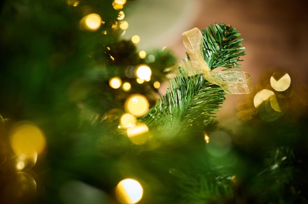 Kerstboom versierd met een lint