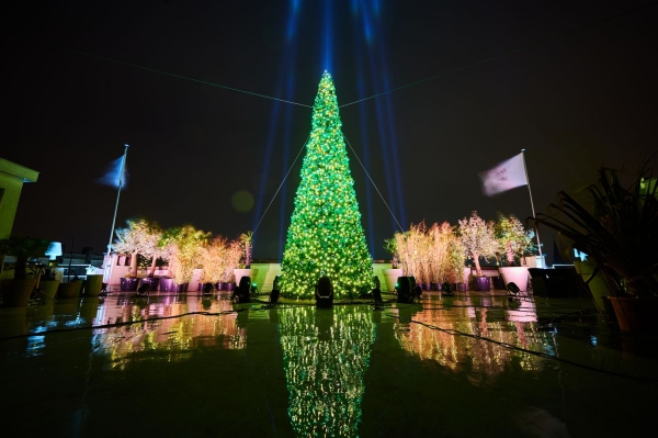Verlichte kerstboom, feestelijke sfeer
