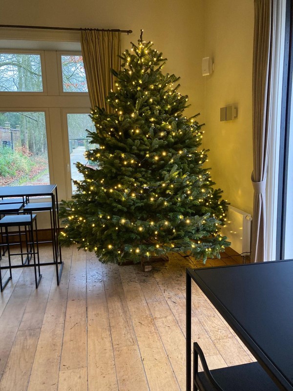 Kerstboom met verlichting in een gezellige ruimte