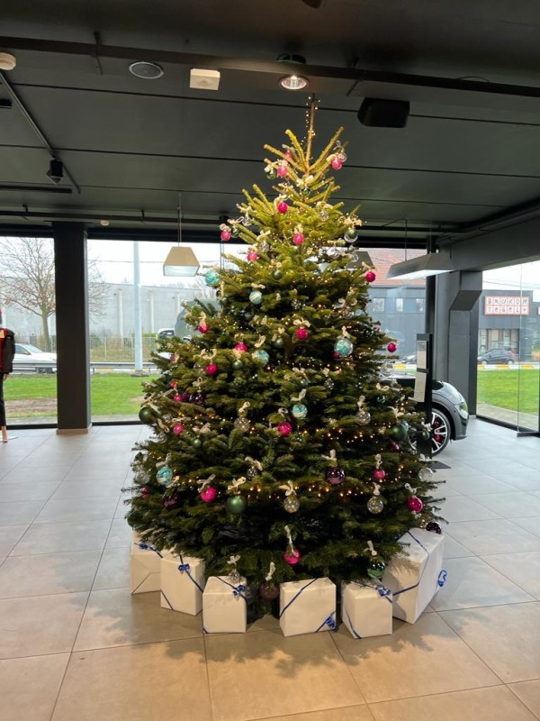 Kerstboom versierd met kleurrijke ornamenten