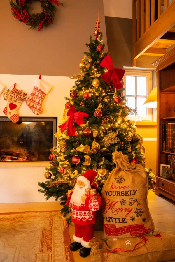 Kerstboom versierd met lichten