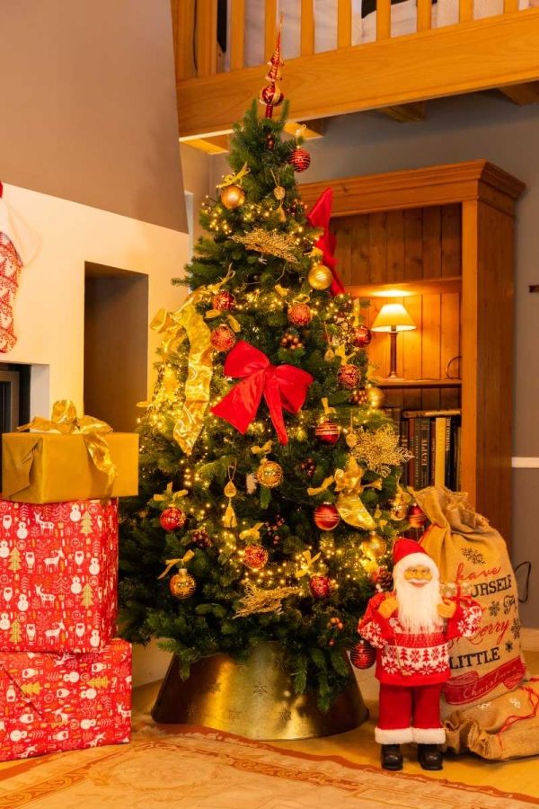 Kerstboom versierd met lichtjes