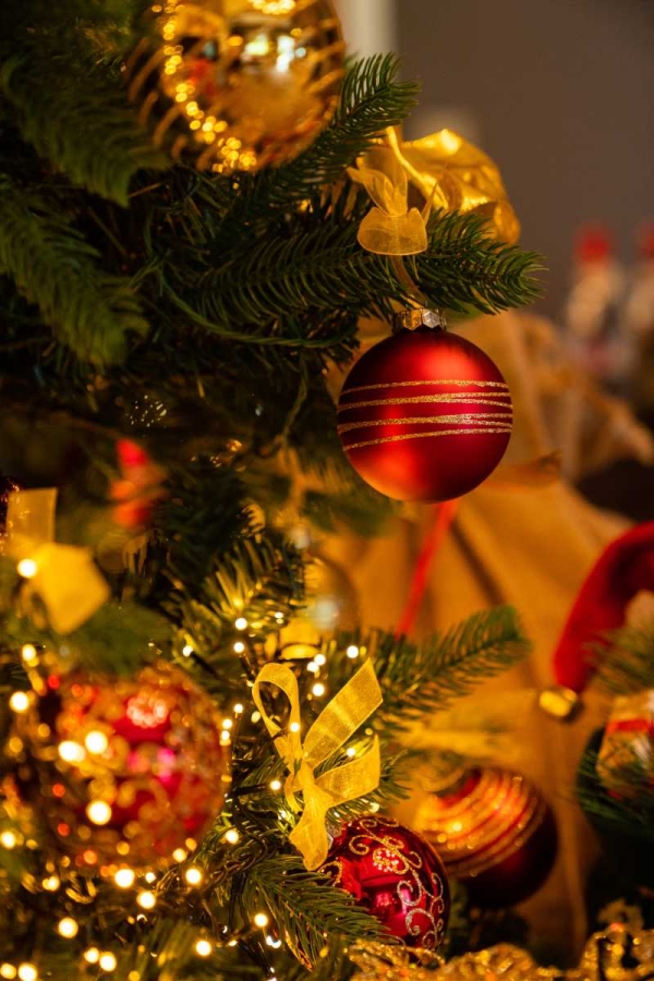 Kerstboom versierd met rode ornamenten