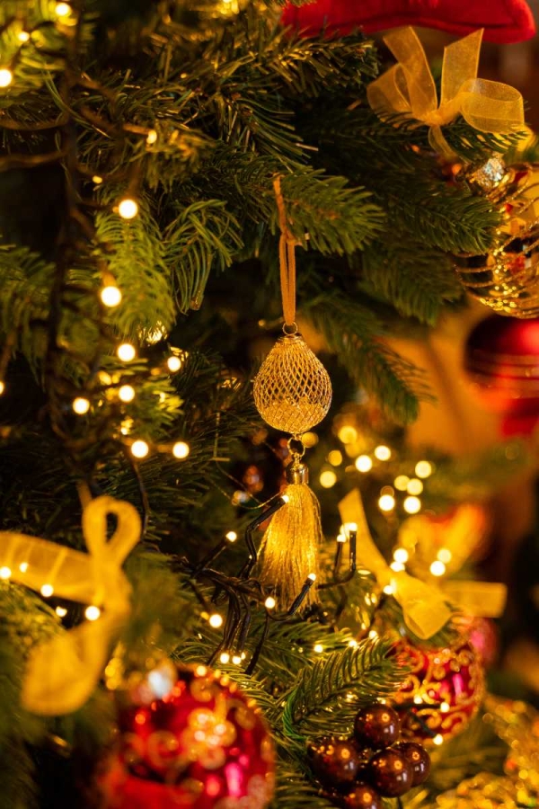 Kerstboom versierd met lichtjes