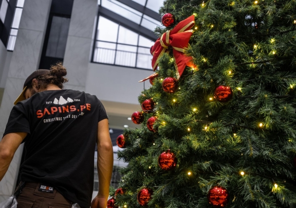 Kerstboom versierd met rode ornamenten