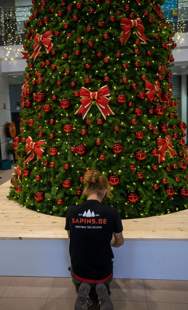 Kerstboom versierd met rode ornamenten