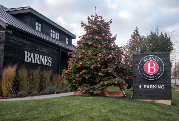 Kerstboom versierd bij een gebouw
