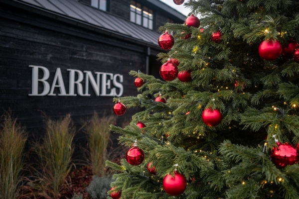 Kerstboom versierd met rode ornamenten