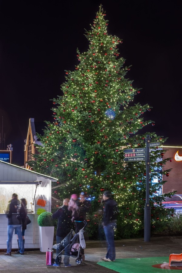Groot verlicht kerstboom