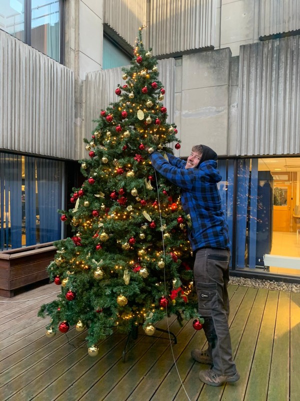 Versierde kerstboom met verlichting