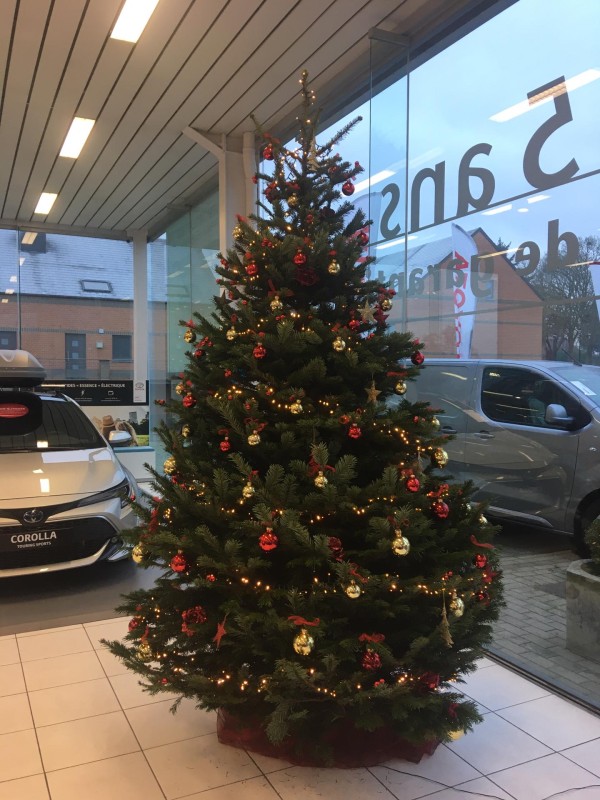 Kerstboom versierd met lichtjes en ornamenten