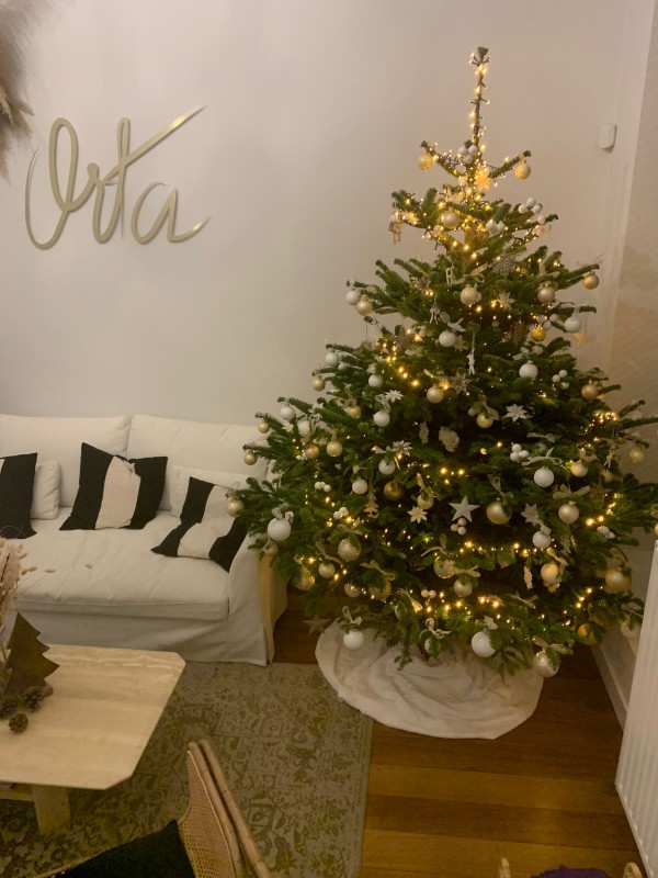 Kerstboom versierd met lichtjes