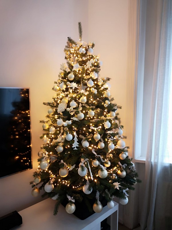 Kerstboom versierd met lichtjes